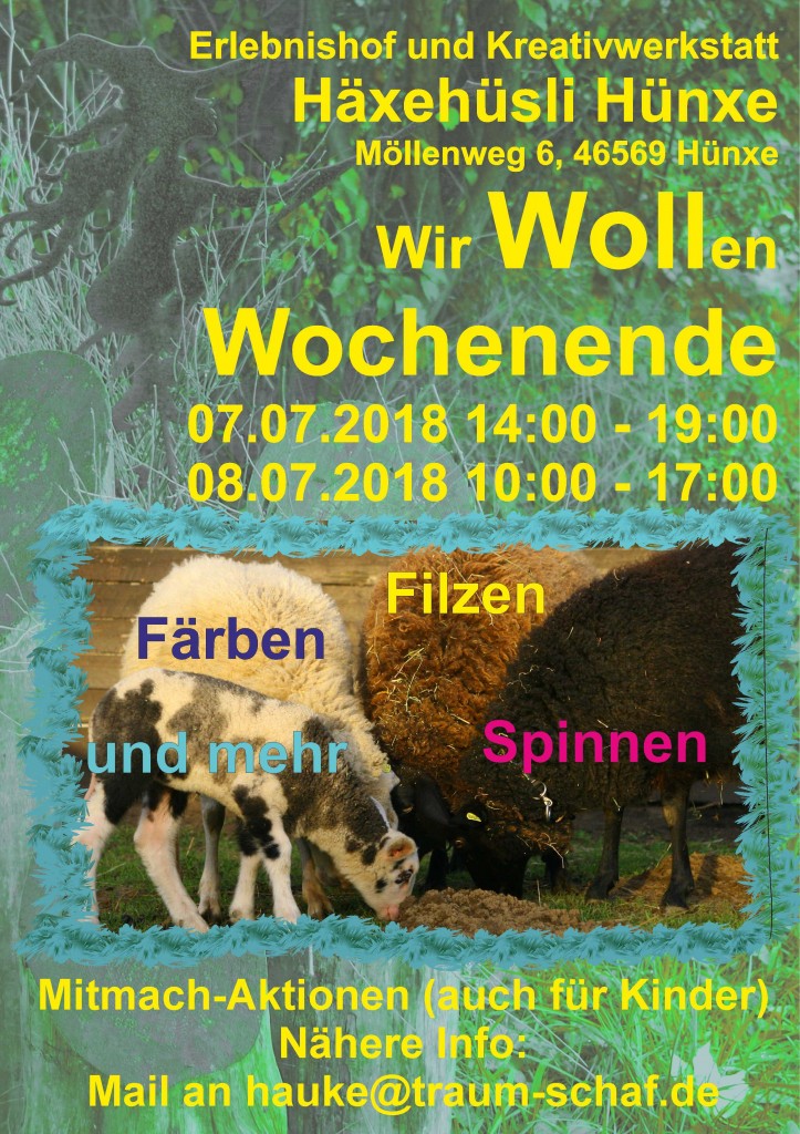 Wir-Wollen-Flyer-Web